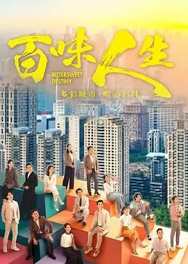 雾港十七时 视频在线观看